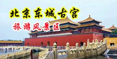 男生扒开女生的腿捅捅中国北京-东城古宫旅游风景区